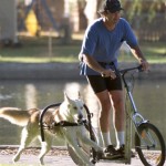 Dog Powered Scooter