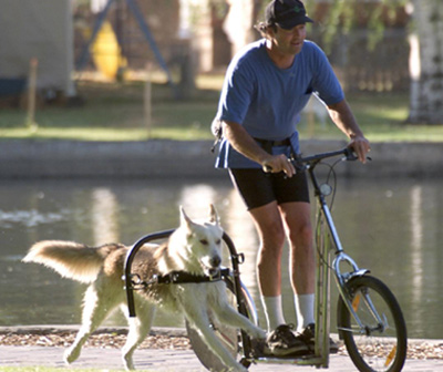 Dog Powered Scooter